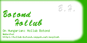 botond hollub business card